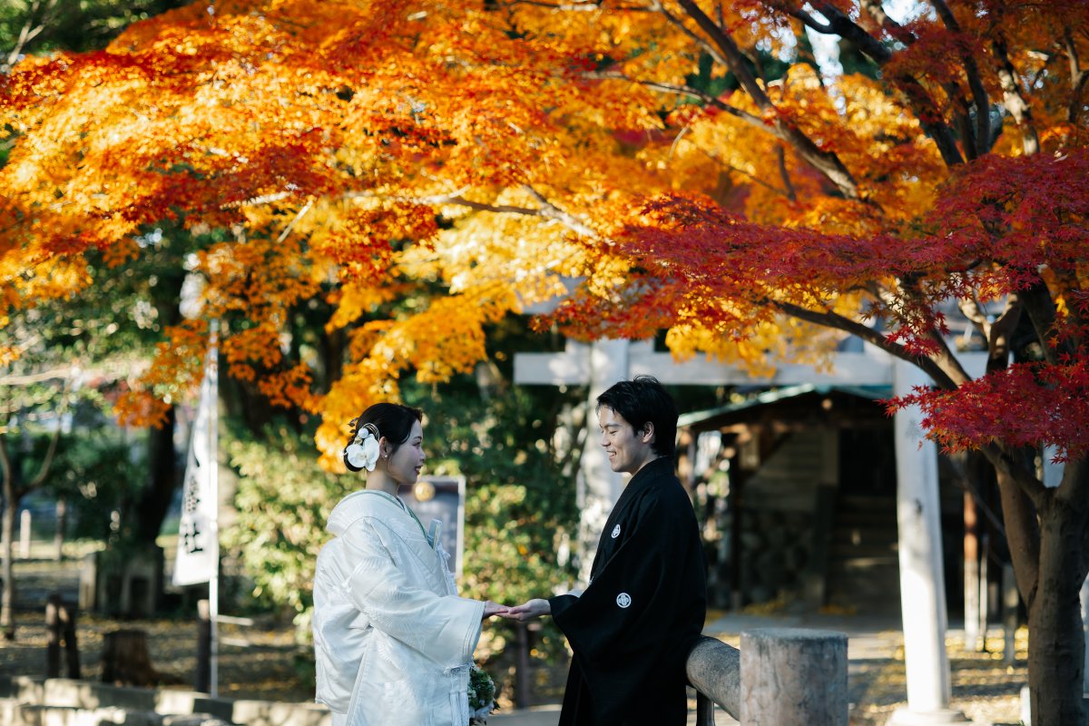 Atmospheric photos of autumn leaves and kimono in Nakamura Park
