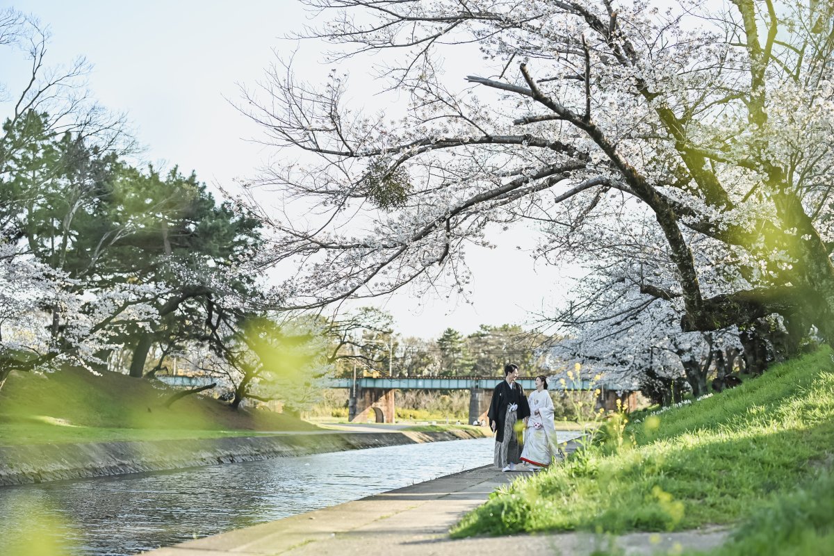 Shooting with the famous Okazaki cherry blossom trees and castle