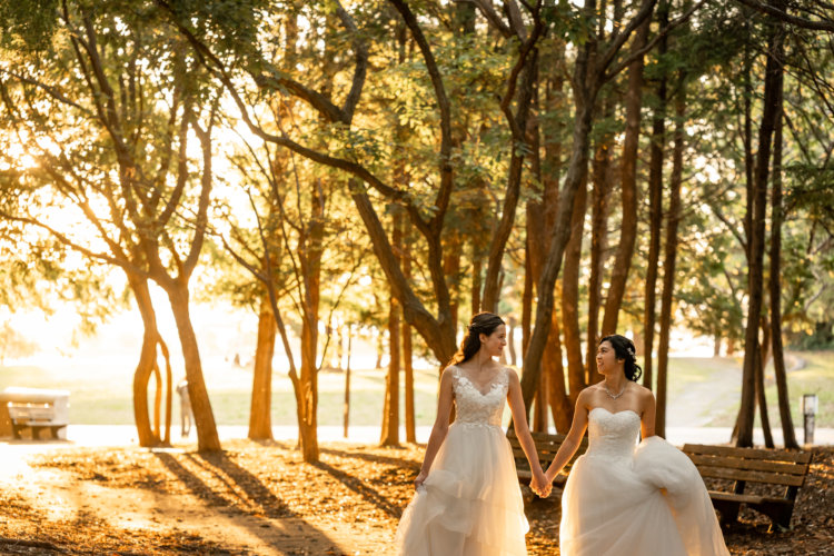 Forest of Sunbeams Woman in a Wedding Dress