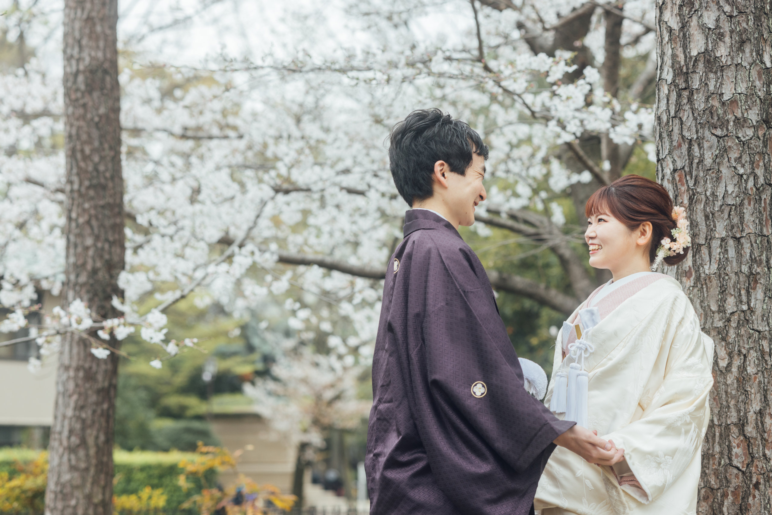 Cherry blossom season at Arisugawa Memorial Park — wedding kimono beneath the cherry trees, petals drifting across the woodland path