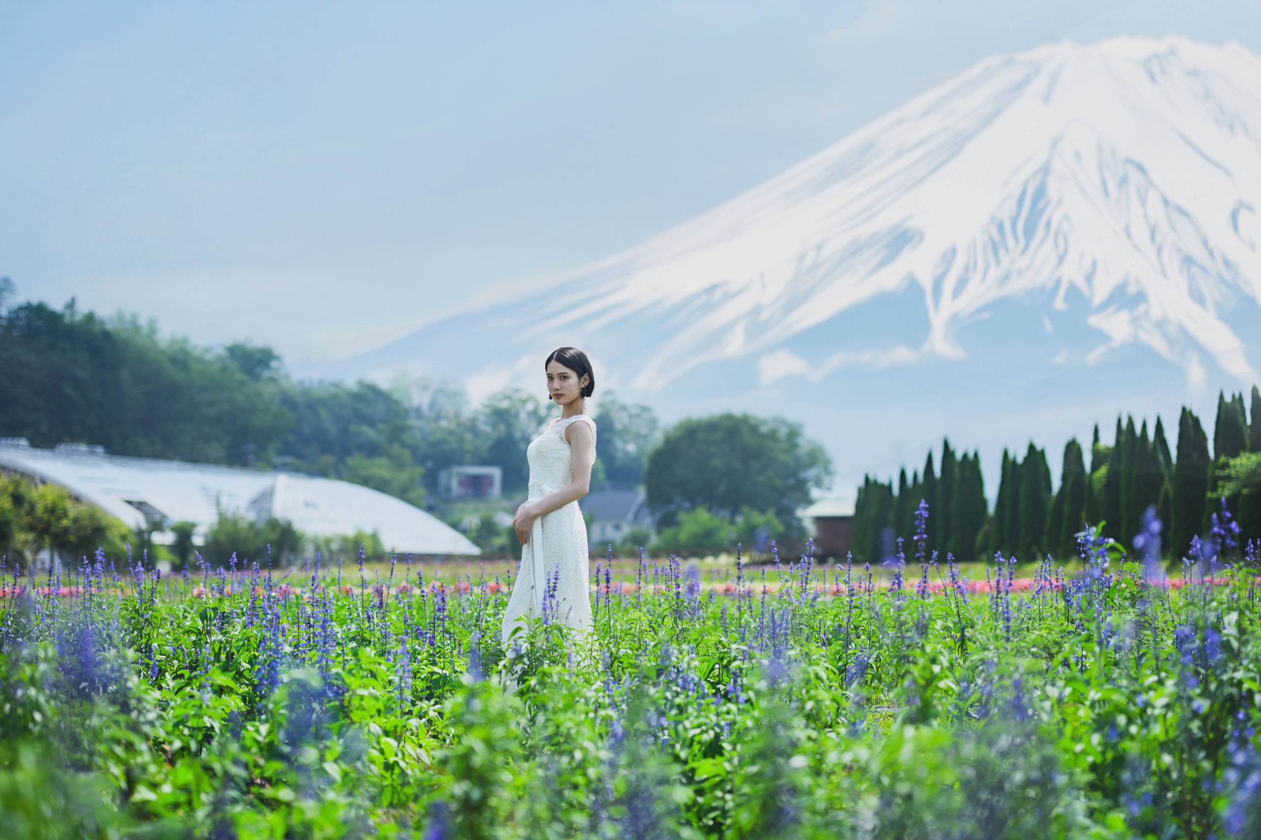 Bride standing in a seasonal flower garden with Mt. Fuji in the background
