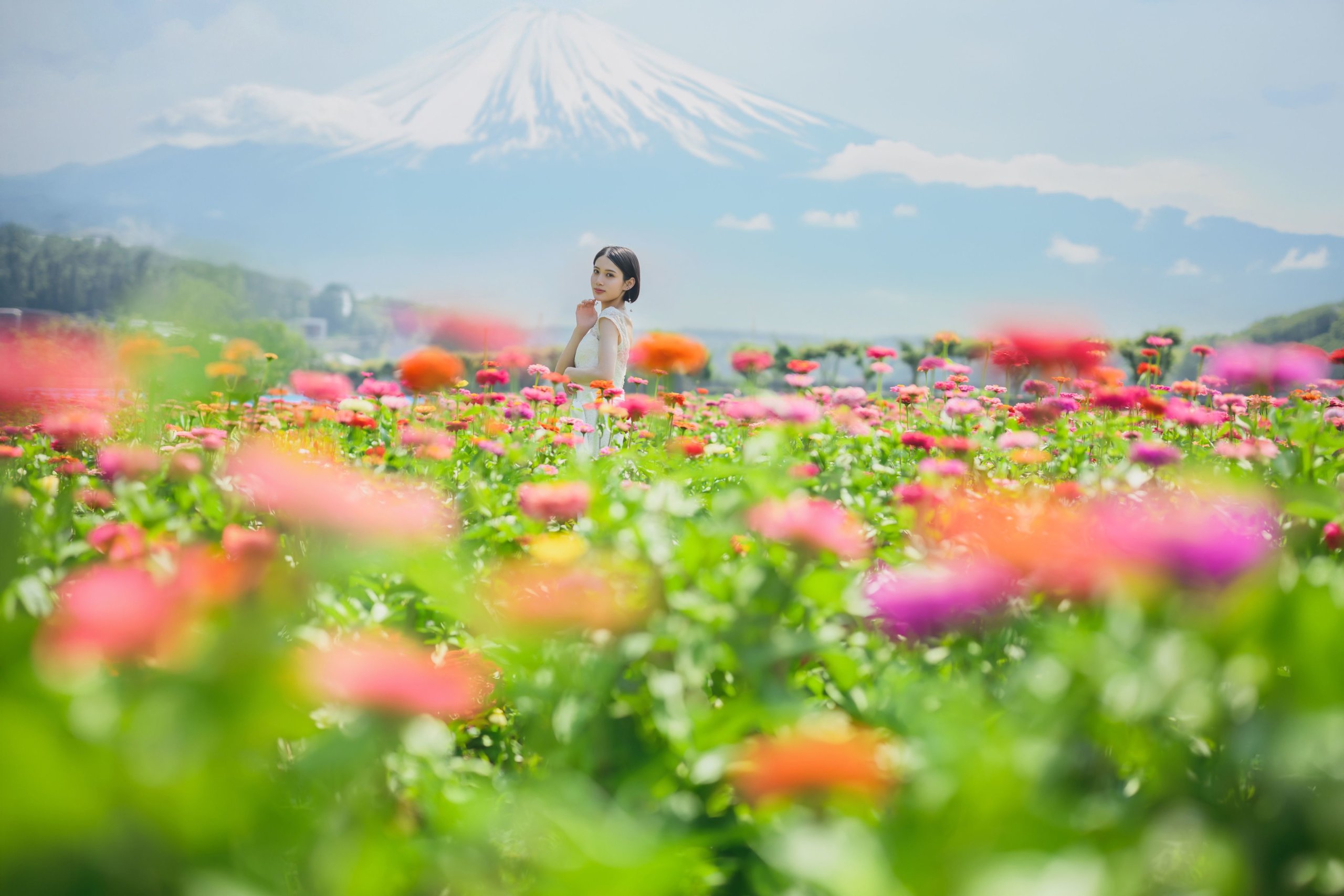 Mount Fuji flower field wedding photo