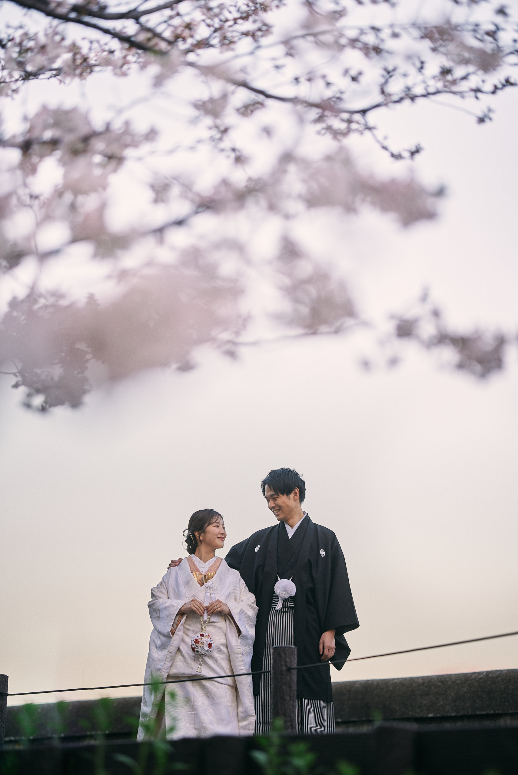 Cherry blossom season at Asakusa — wedding kimono beneath the sakura trees near Senso-ji temple, petals drifting through the spring air