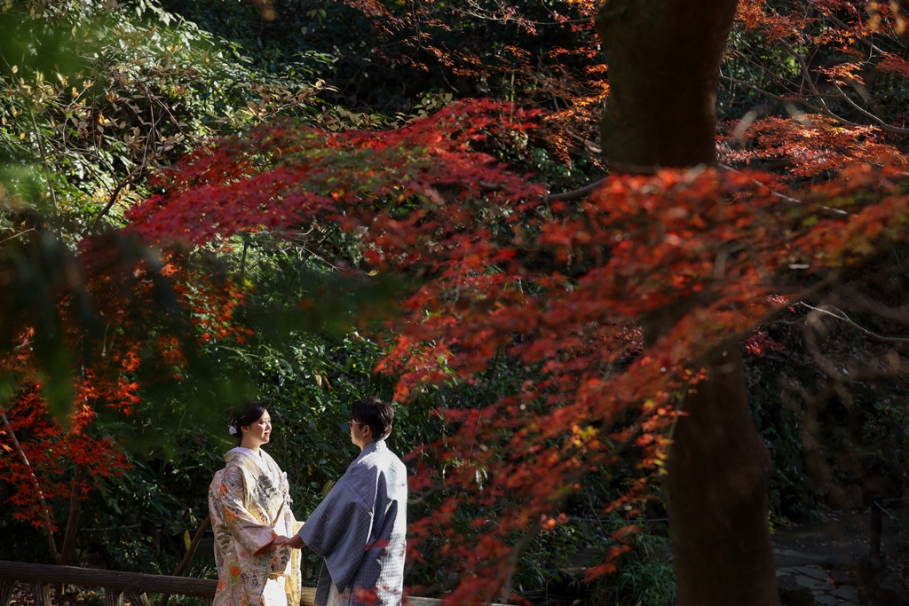 Autumn foliage season at Arisugawa Memorial Park — the stone arch bridge surrounded by fiery red and gold maples creates a spectacular backdrop for kimono wedding photography