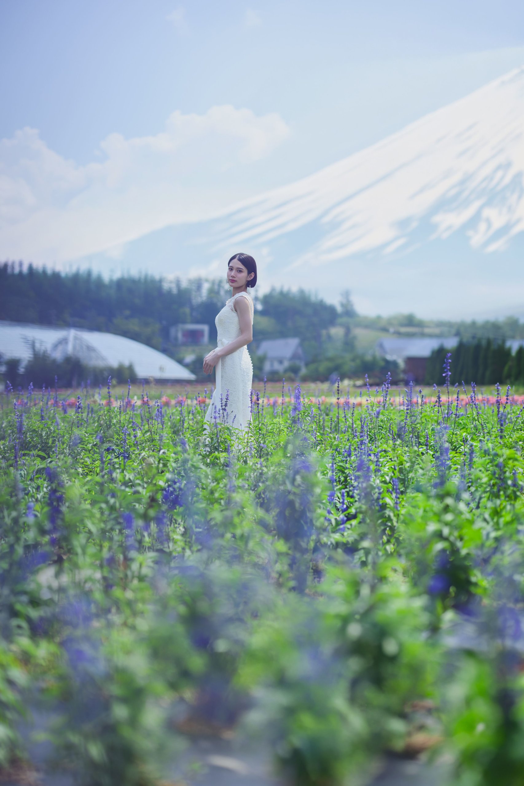 Mount Fuji seasonal flower field wedding photography