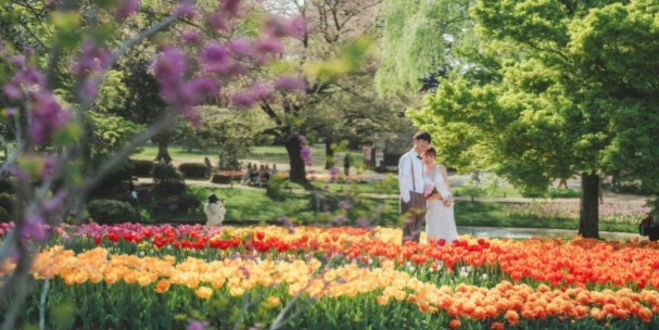 Surrounded by vibrant tulip fields in full bloom at Showa Kinen Park, the couple shares a quiet moment together.