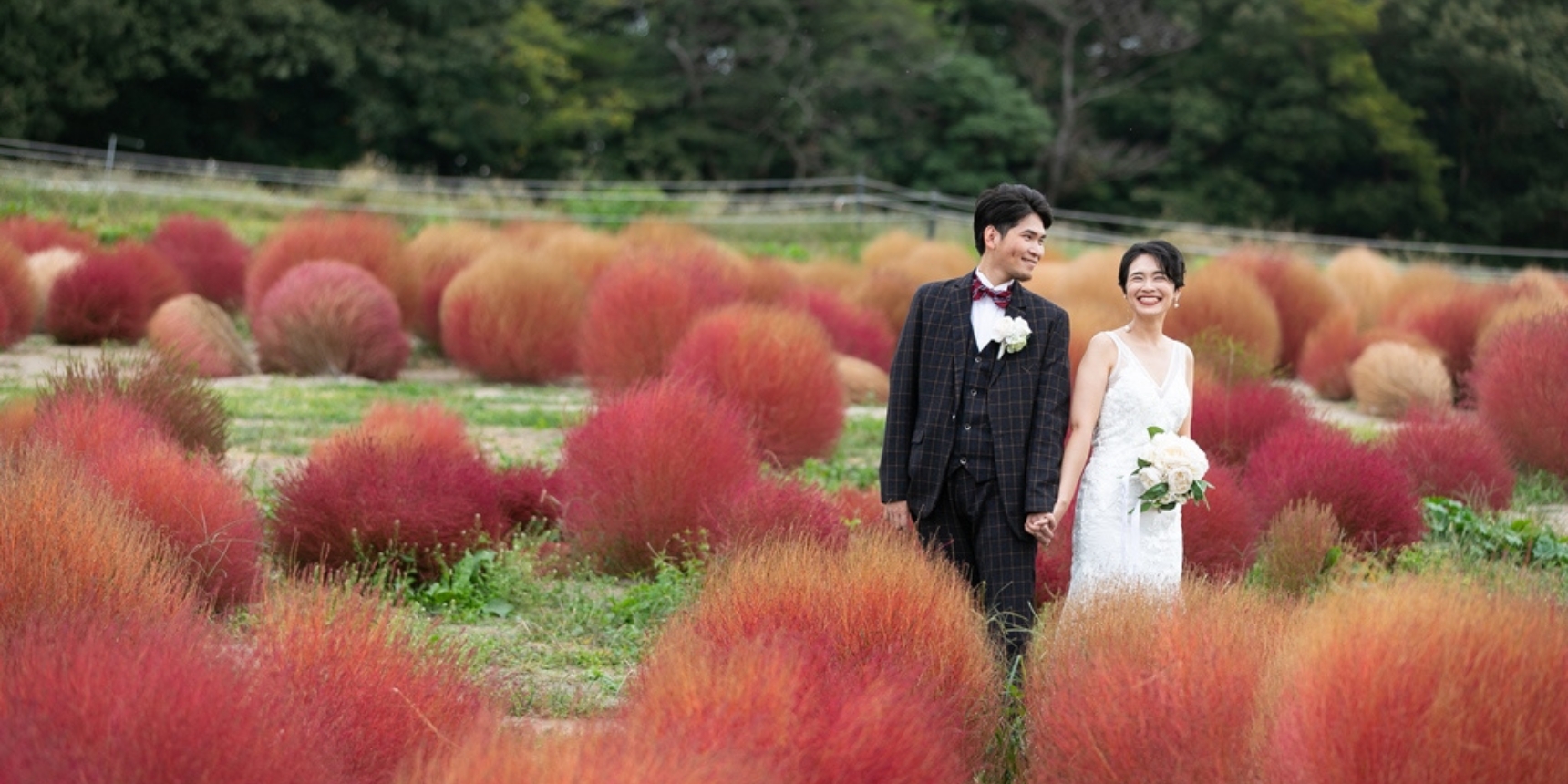 Strolling through fields of fiery red kochia bushes at Aichi Farm, autumn color stretching to the horizon.