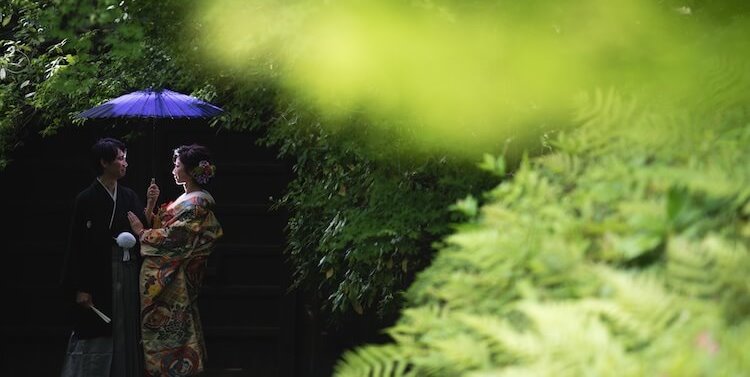 Sheltering beneath a deep purple paper umbrella in the shaded garden of Dodan-tei, a quiet moment during their kimono pre-wedding photoshoot.