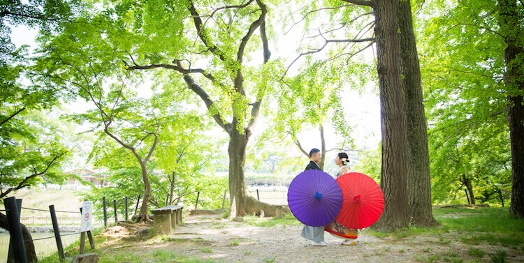 Holding purple and red umbrellas beneath towering trees at Okazaki Castle park, sunlight filtering through fresh green leaves on their pre-wedding photoshoot.