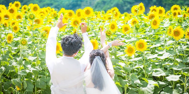 The newlyweds raise their arms in a sunflower field in full bloom at Hana Hiroba, a joyful summer wedding photography scene in Aichi.