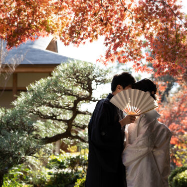 Kimono couple hiding behind a folding fan for a kiss beside a pine tree and red maple leaves in a Japanese garden, an autumn pre-wedding photoshoot in Japan