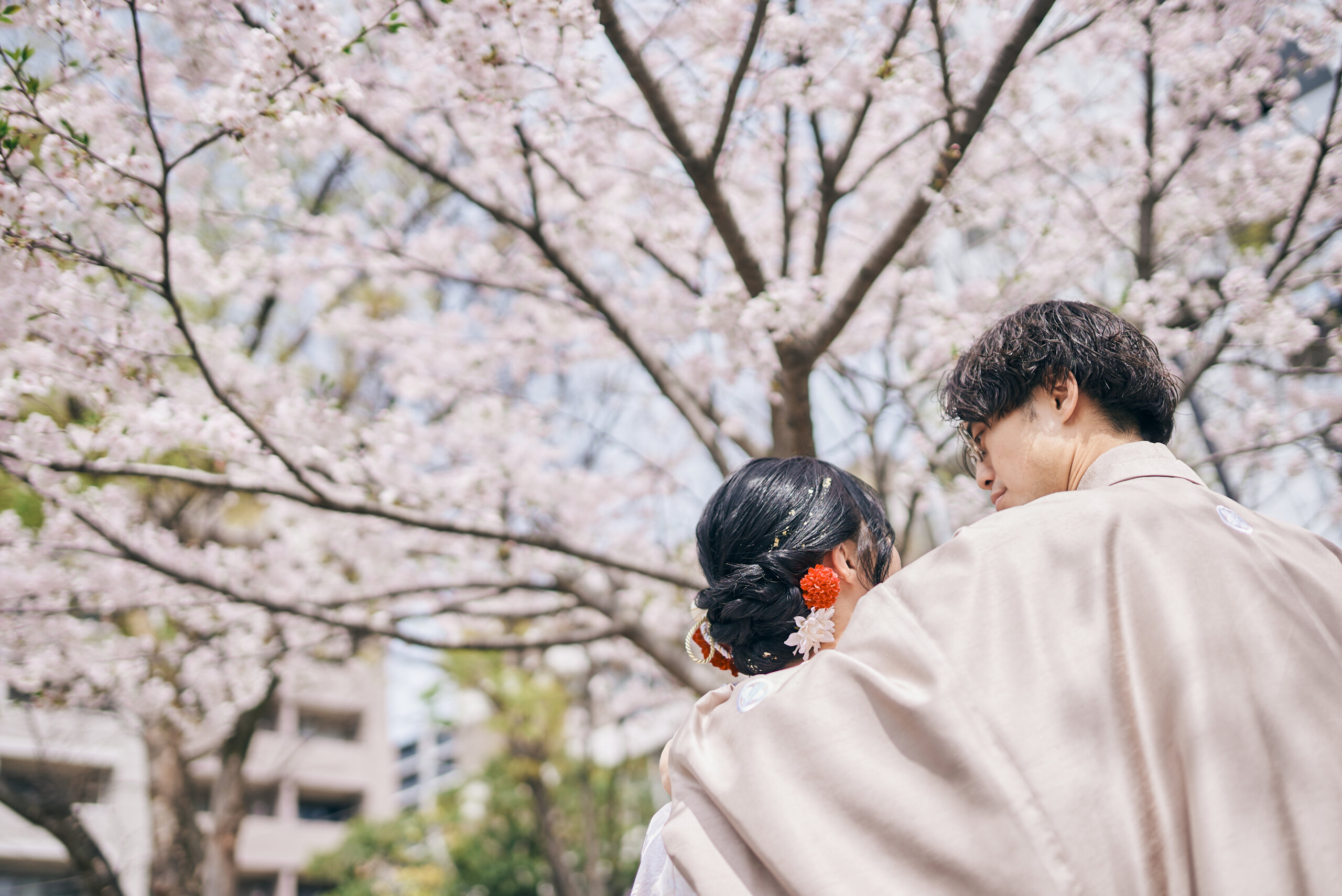 Close-up of a kimono bride and groom leaning together under cherry blossoms at Kansenen Garden in Tokyo, spring Japan wedding photography