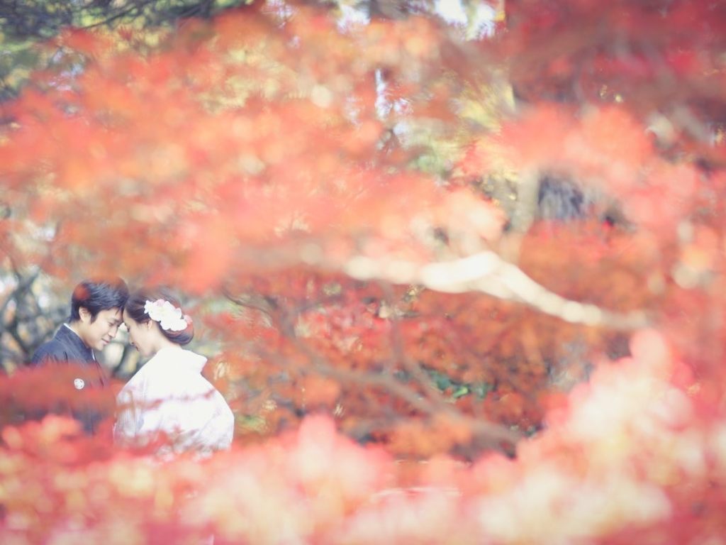Bride in shiromuku and groom in black montsuki touching foreheads among blazing red autumn leaves, a Japanese kimono wedding photography