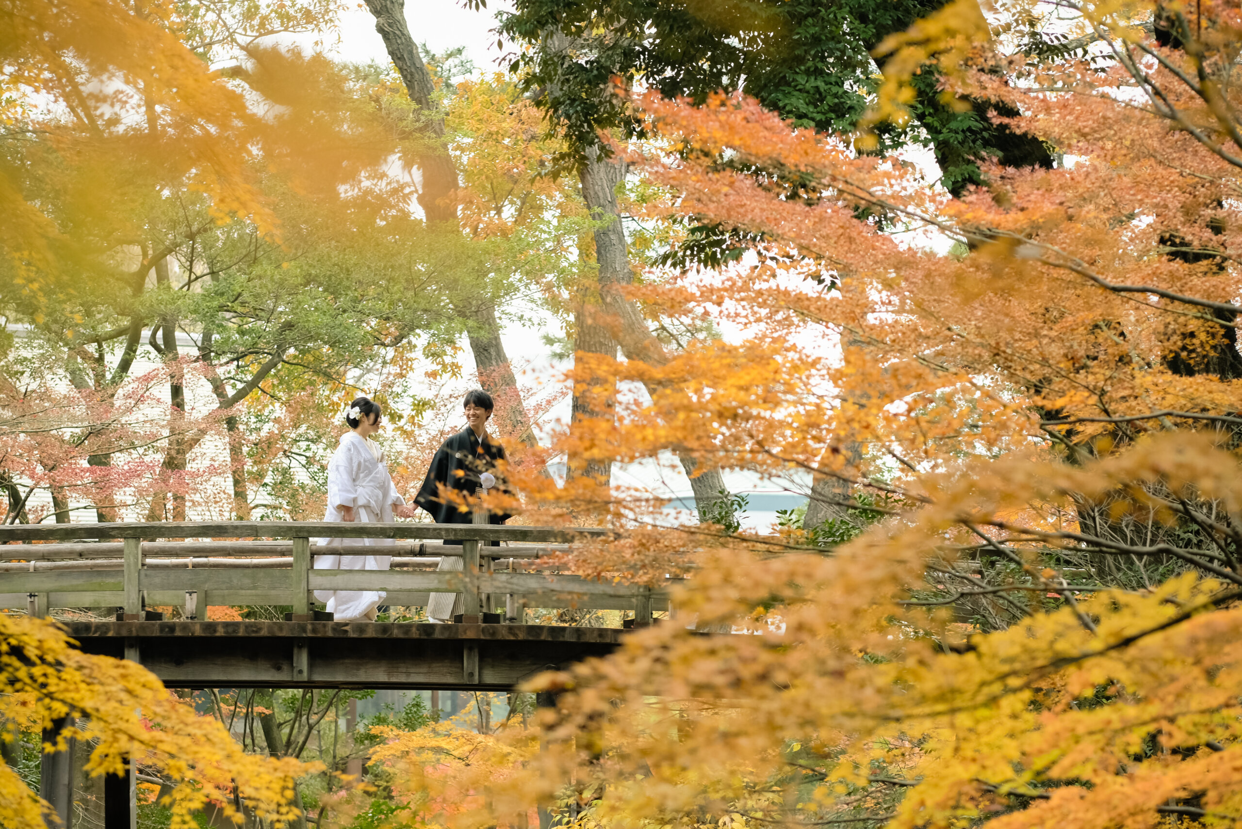 Bride in white shiromuku and groom in montsuki hakama on a wooden bridge in a Japanese garden surrounded by orange maple leaves, an autumn kimono pre-wedding photoshoot